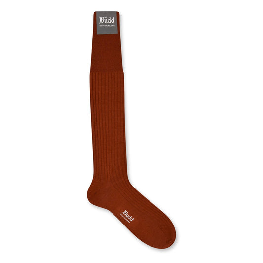 Cashmere and Silk Long Socks In Tan