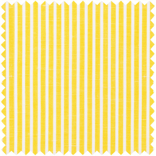 Zephirlino in Yellow and White Stripe