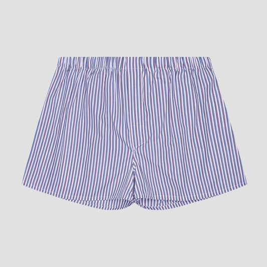 A pair of men's boxer briefs featuring a vertical blue and white stripe pattern, displayed flat against a neutral light gray background.