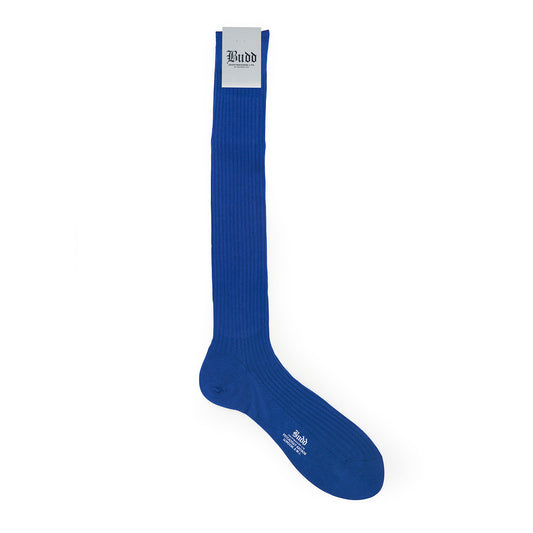 Plain Cotton Long Socks in Ultramarine