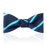 Stripe Tussah Silk Thistle Bow Tie in Sky and White 