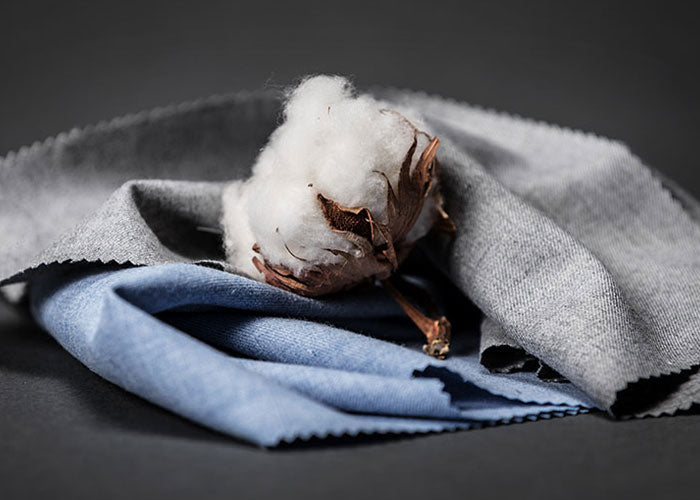 Seven Facts About Sea Island Cotton Budd Shirts
